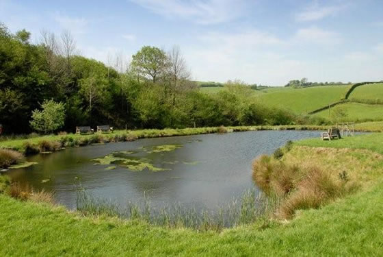 Our pond is ideal for those seeking a quiet fishing holiday