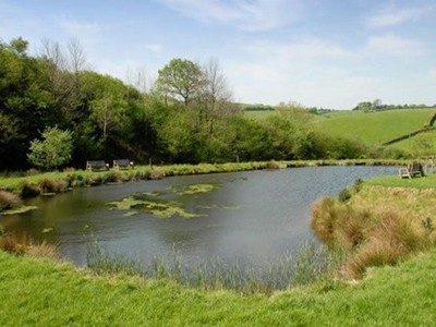 Our Pond