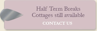 Half tern cottage breaks still available, contact us