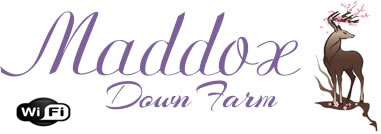 Maddox Down Holiday Cottages